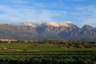 Visit to The Vineyard 2021